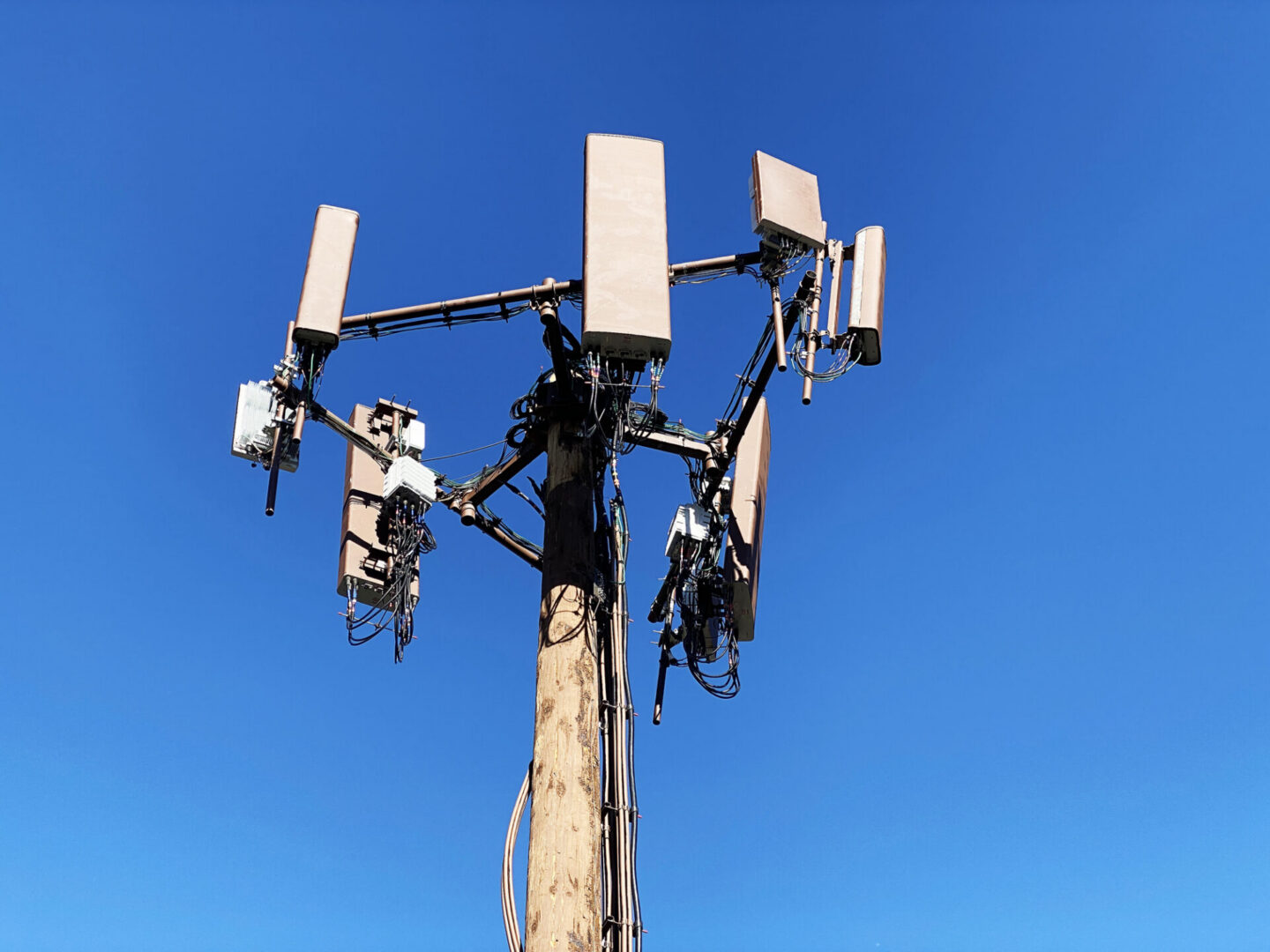 Cellular antennas on wooden utility pole